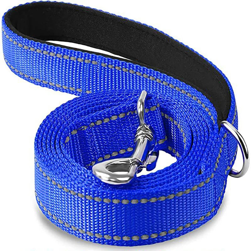 Laisse chien bleu profond