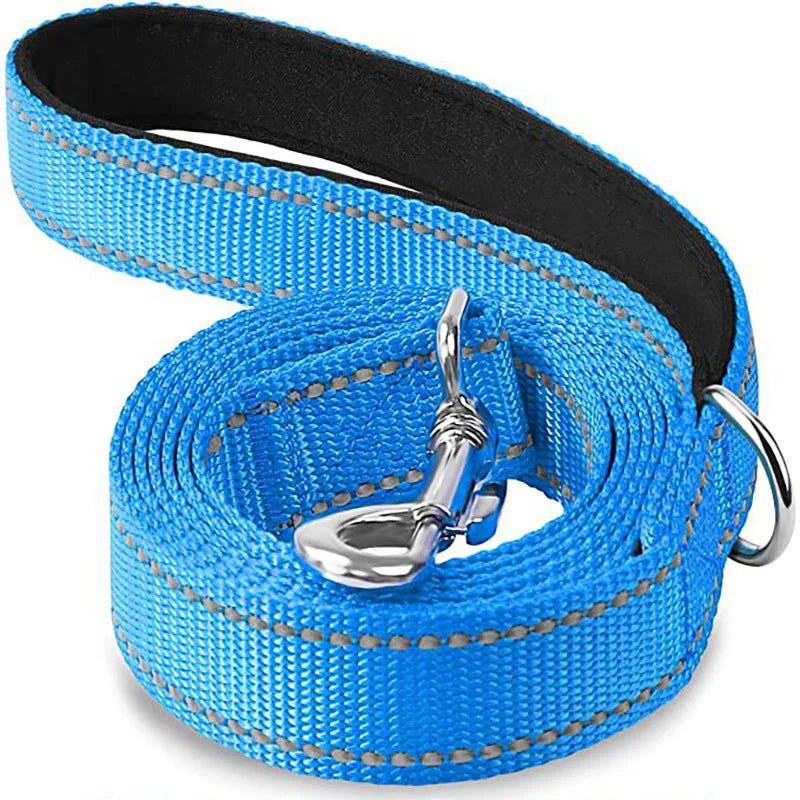 Laisse chien bleu