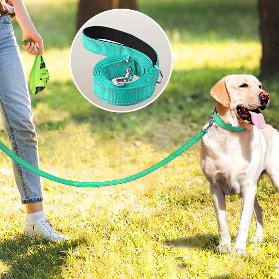 Laisse chien réfléchissante