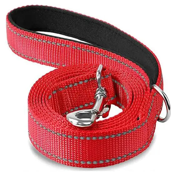 Laisse chien rouge