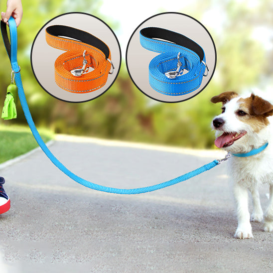 Laisse pour chien couleur