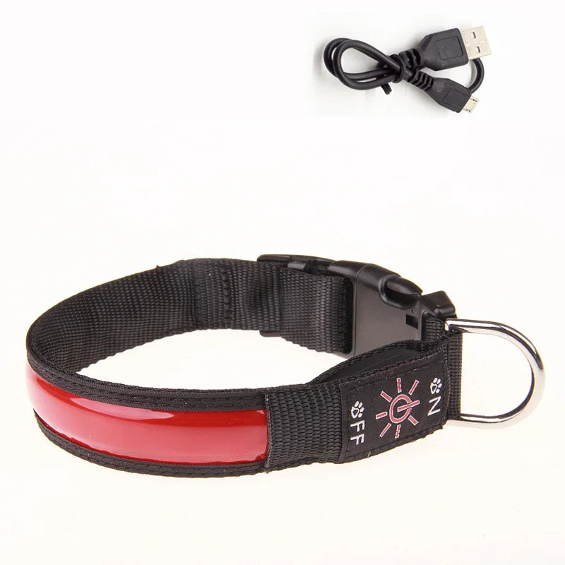 colliers chien rouge
