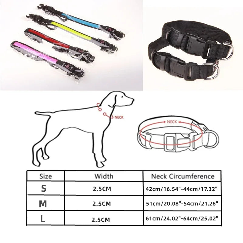 colliers pour chien taille