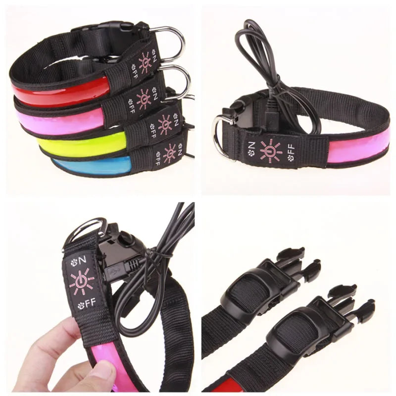Colliers chien lumineux