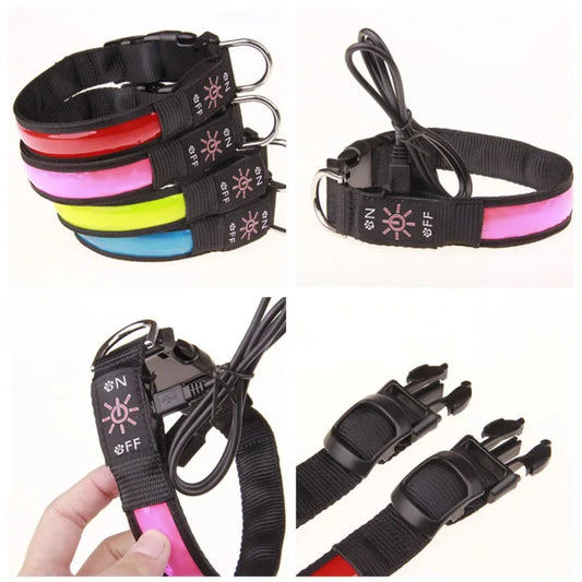 Colliers chien lumineux