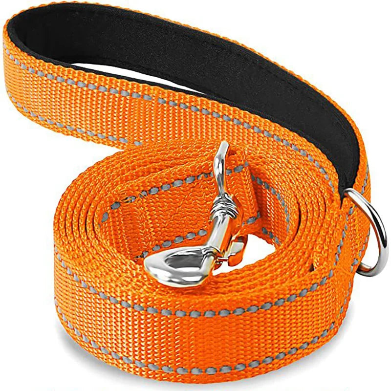 Laisse chien orange