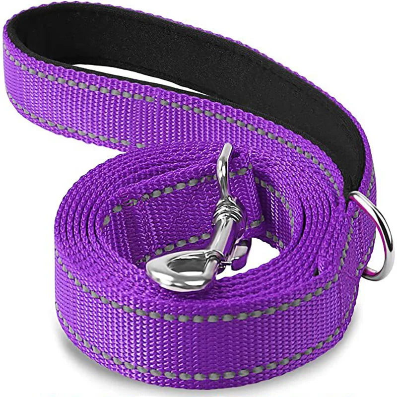 Laisse chien violet