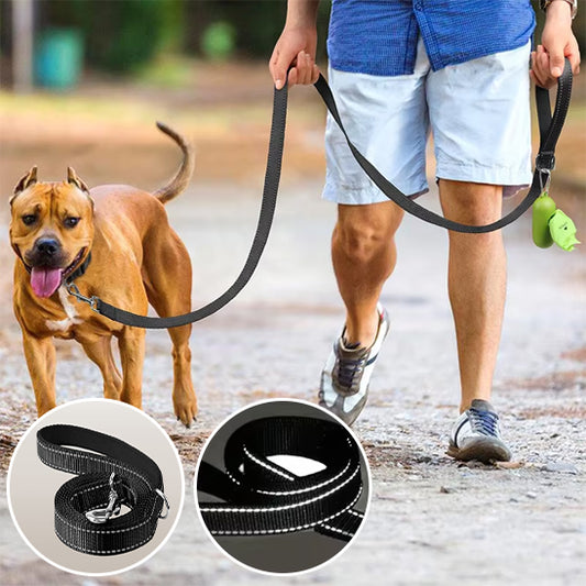 Laisse pour chien