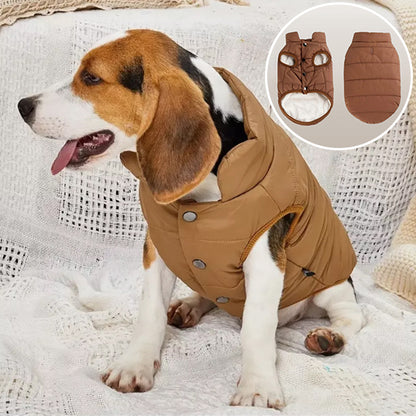 Manteau chien différente taille