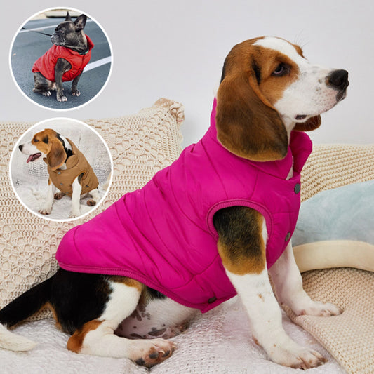 Manteau chien hiver polaire