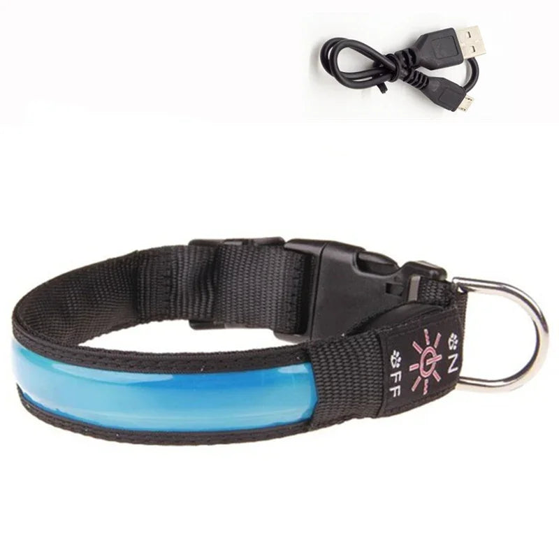 colliers chien bleu