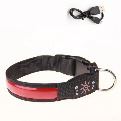 colliers chien rouge