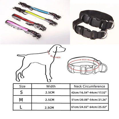colliers pour chien taille