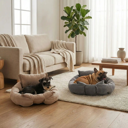 Coussin Chien Orthopédique 3-en-1 | Confort Plus