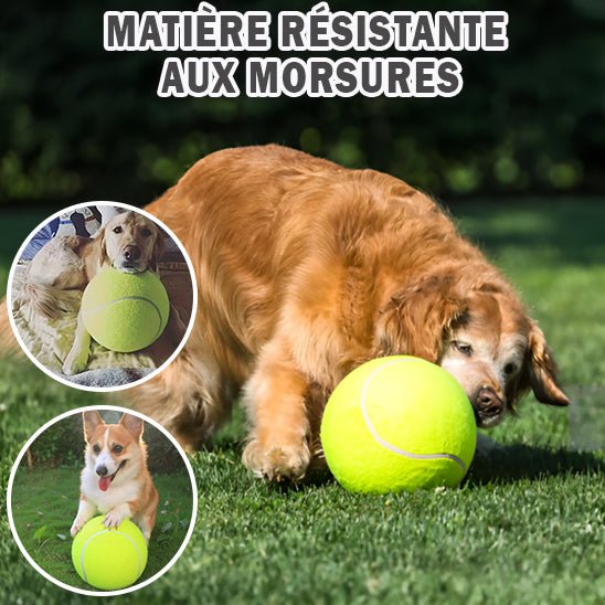 Jouet pour Chien Balle de Tennis Géante - Amour des chiens