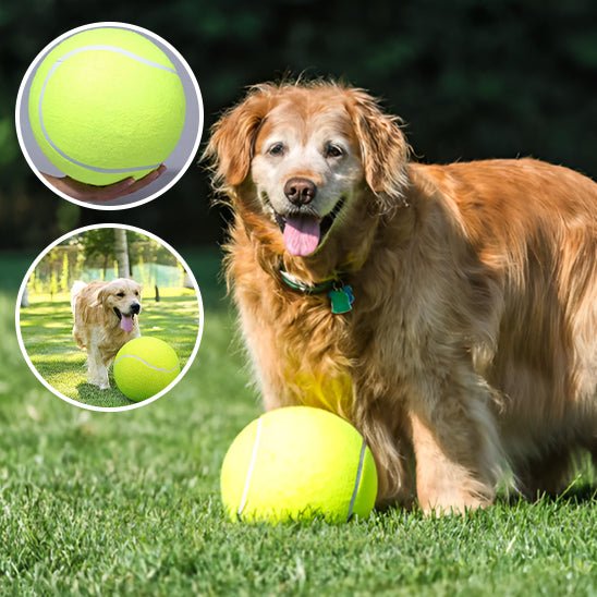 Jouet pour Chien Balle de Tennis Géante - Amour des chiens