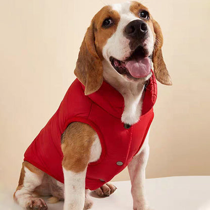 manteau chien hiver